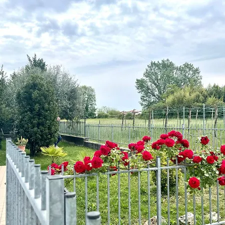 Dimora Di Charme Con Piscina E Giardino,vicina Apartment